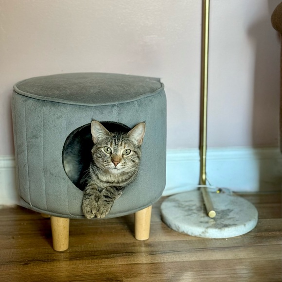 Meet your Posher, Ashley - Picture 1 of 1